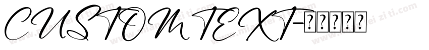 CUSTOM TEXT字体转换